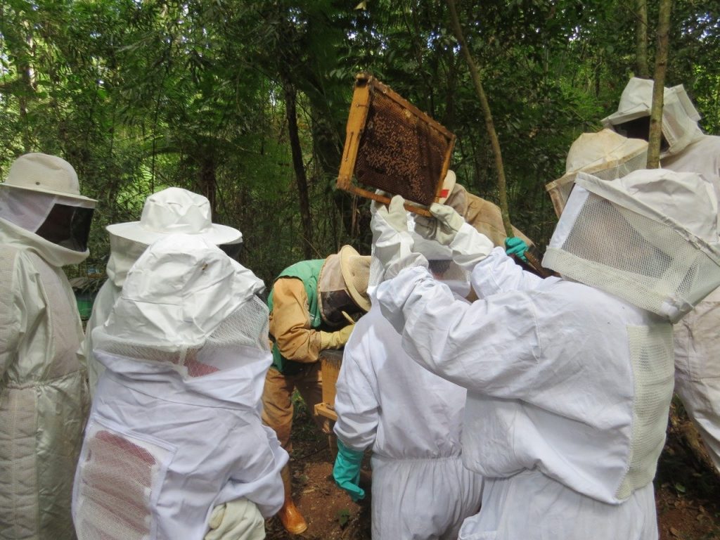 Curso De Apicultura B Sica Conclu Do Por Agricultores Na Agrotec Cgn