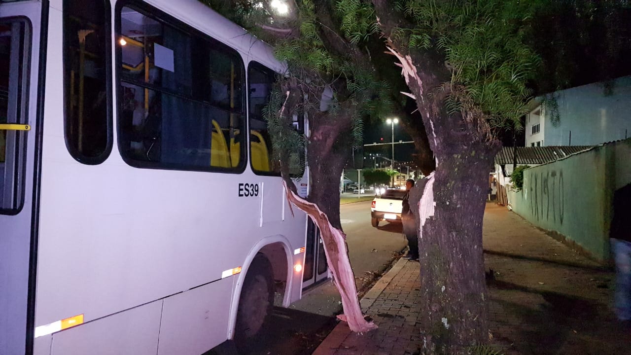 Após ônibus colidir contra galhos Bombeiros são acionados para o corte