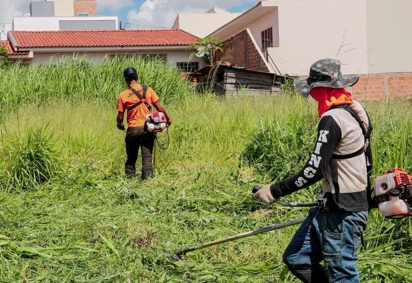 Terceirizada Realiza Limpeza De Lotes Baldios Em Apucarana Cgn