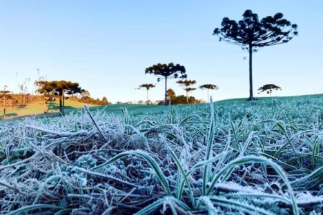 Se Prepare Para O Primeiro Frio Intenso Do Outono Geadas Devem Chegar