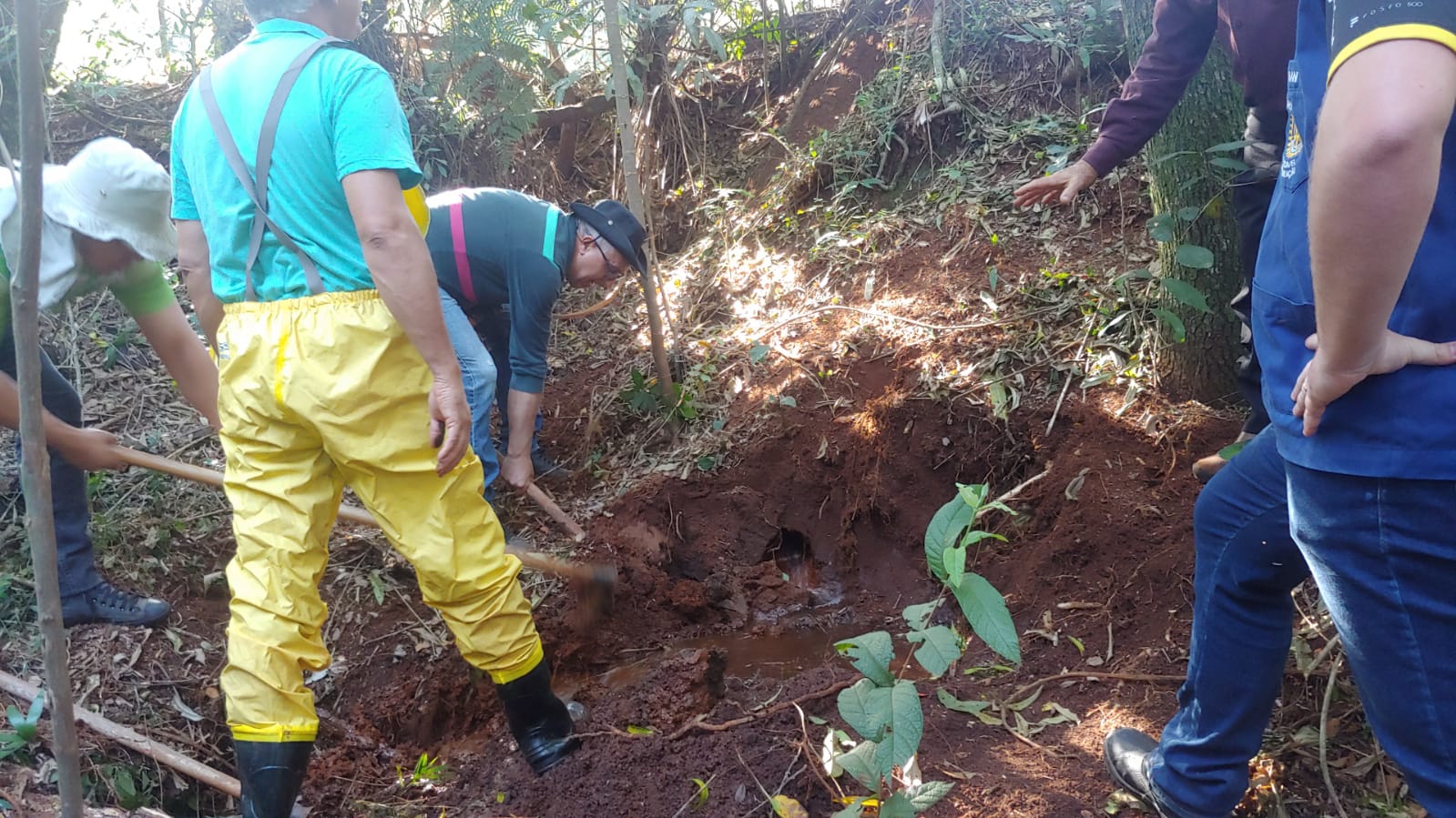 Prote O De Nascentes S Margens Do Rio Sanga Verde Realizada Neste