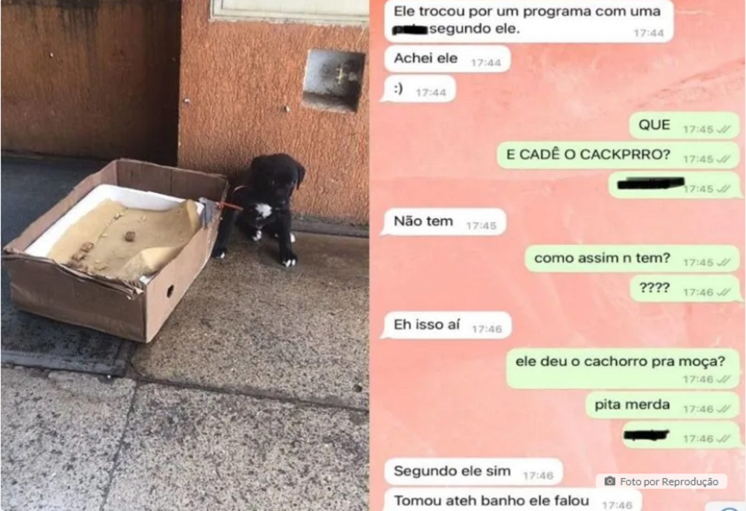 Morador De Rua Troca Filhote De Cachorro Por Programa Garota Cgn