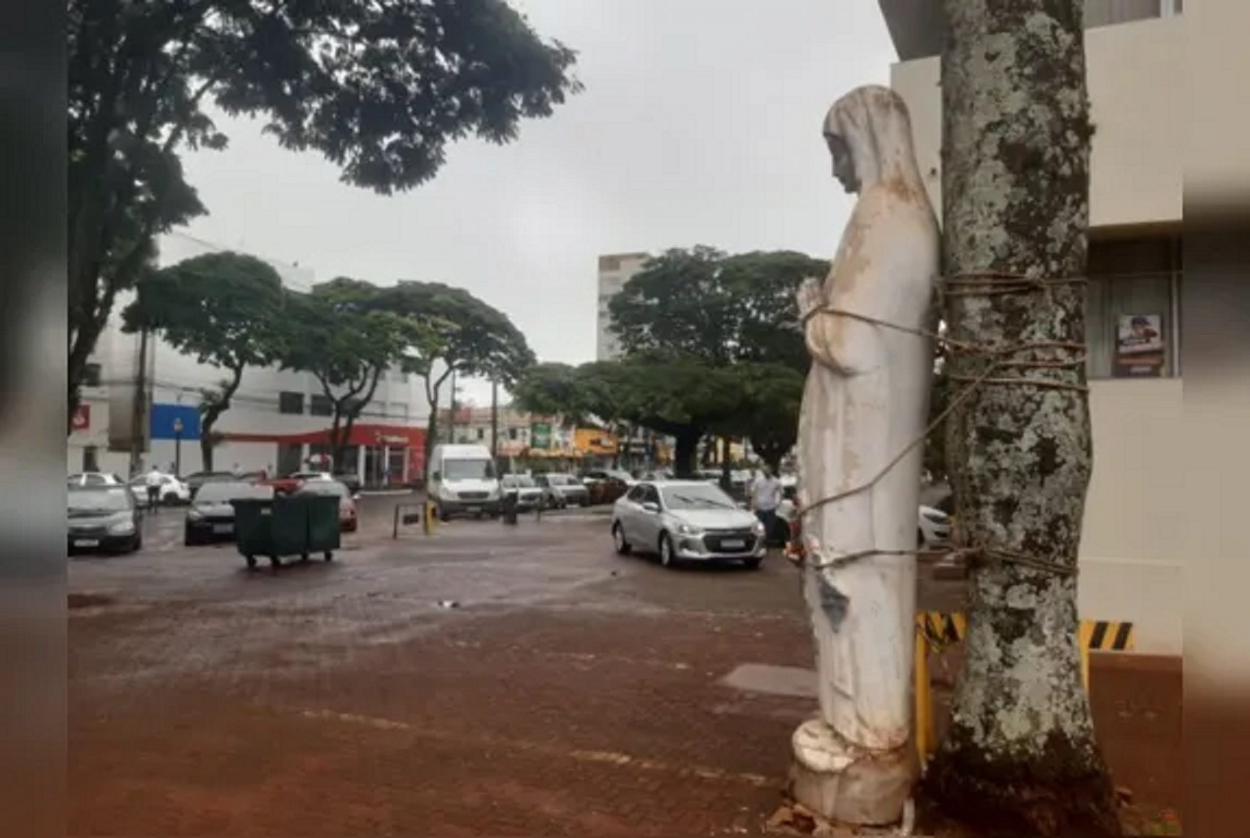 Santa De Tr S Metros Amarrada Em Rvore Chama Aten O De Moradores Em