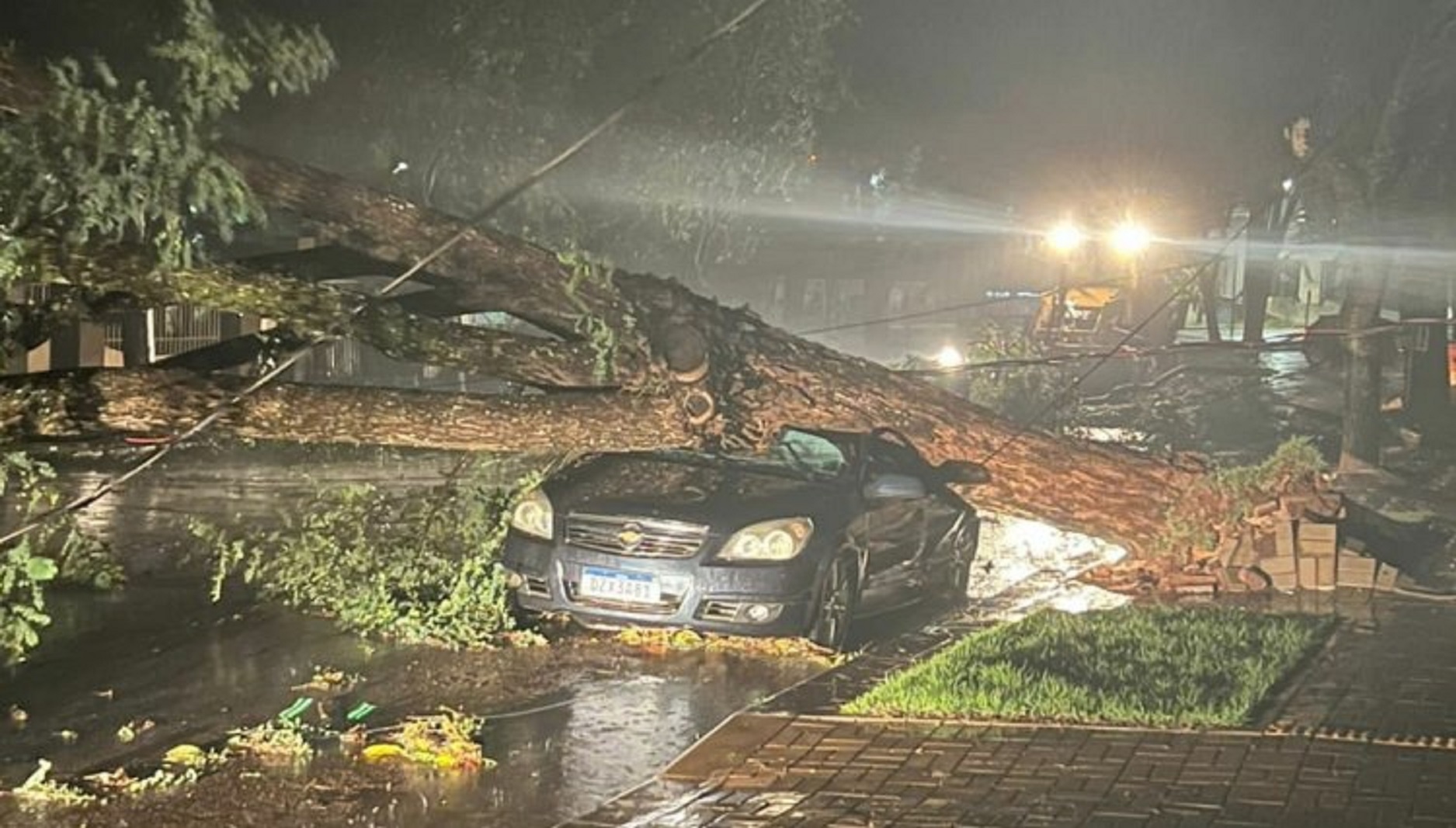 Árvore de grande porte cai em cima de carro durante temporal em