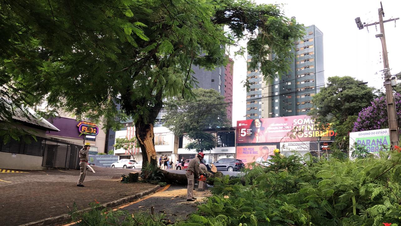 Galho De Rvore Cai E Acerta Onix Na Rua Minas Gerais Cgn O Maior