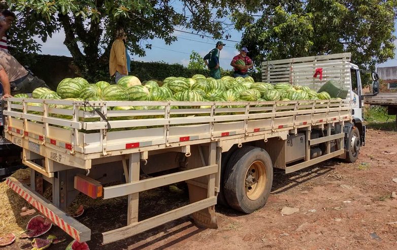 Traficantes usam melancia para disfarçar carga de 16 toneladas de