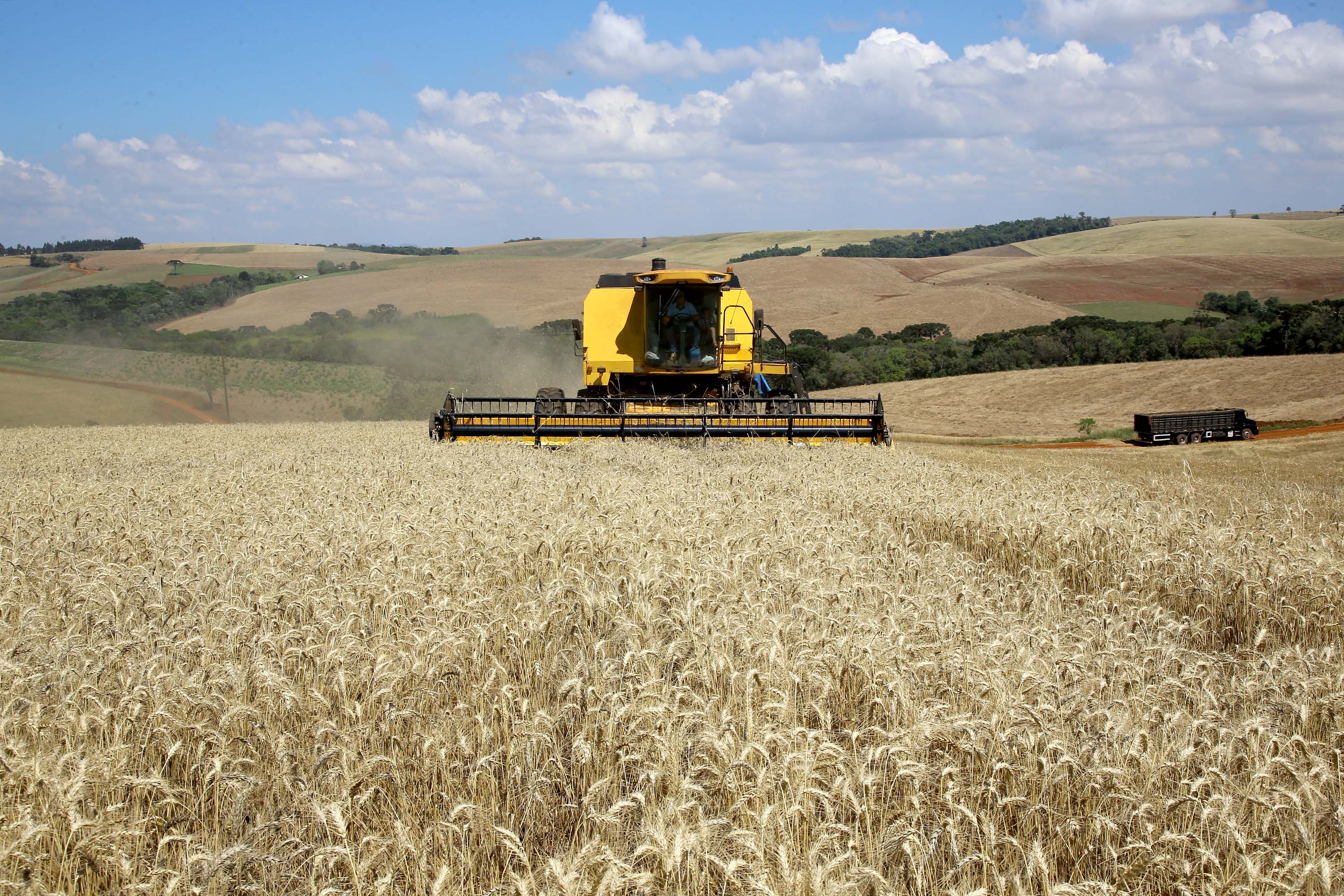 Imagem referente a Paraná deverá produzir mais de 36 milhões de toneladas de grãos