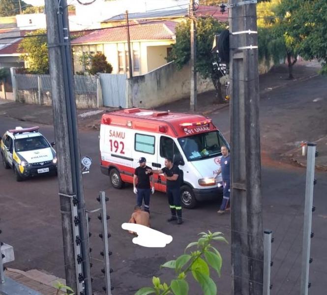 Imagem referente a Polícia é acionada para conter homem que gritava nu em via pública no Jardim Apucarana