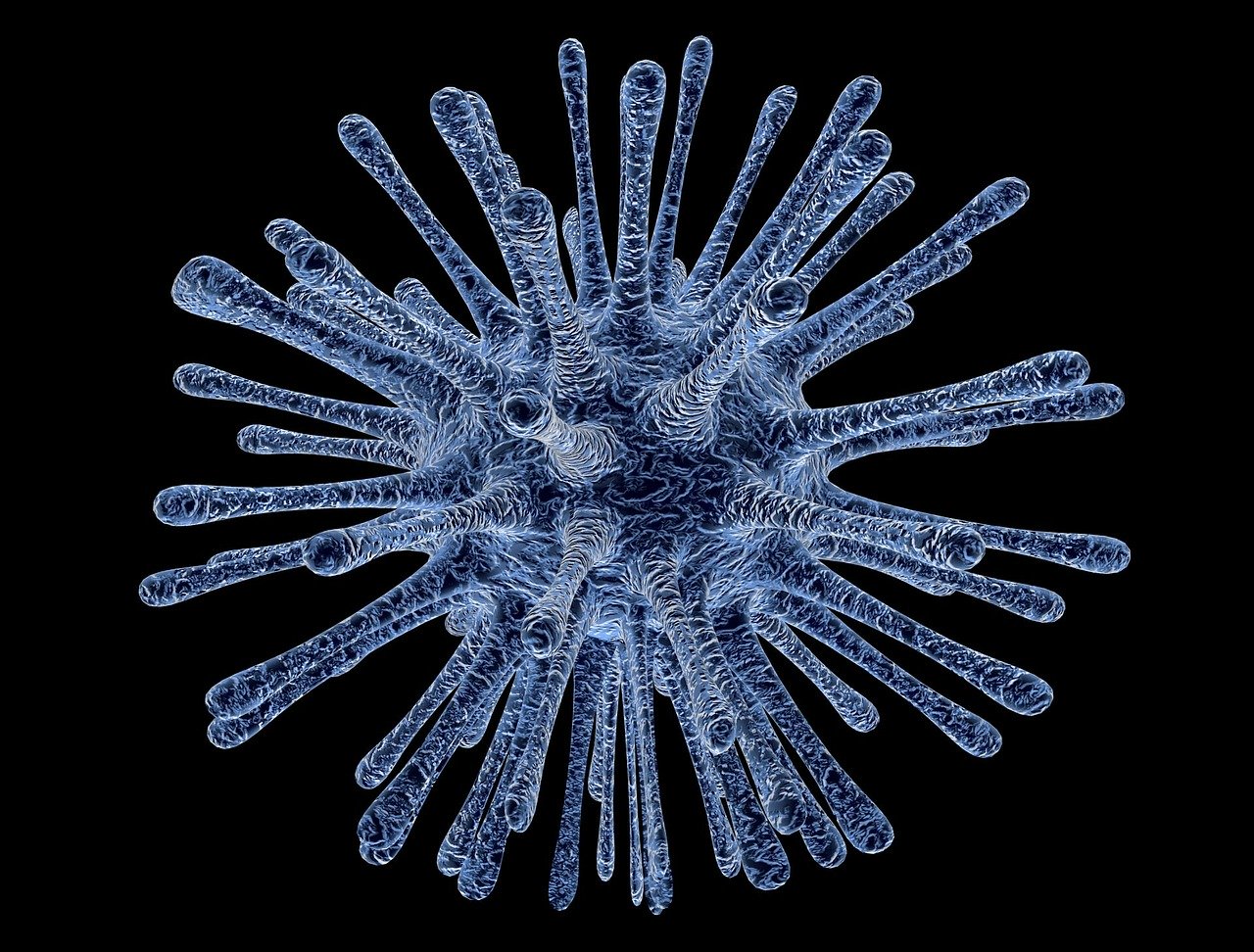Imagem referente a OMS: pode haver mais mortes por coronavírus nos próximos dias