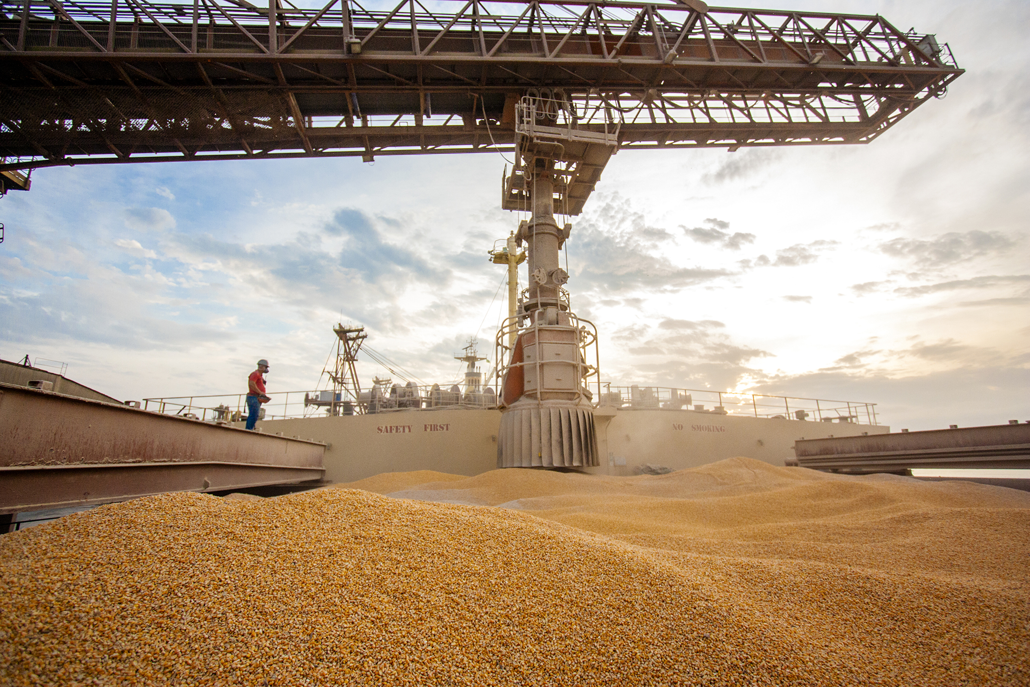 Imagem referente a Exportação de milho via Porto de Paranaguá cresce 503%