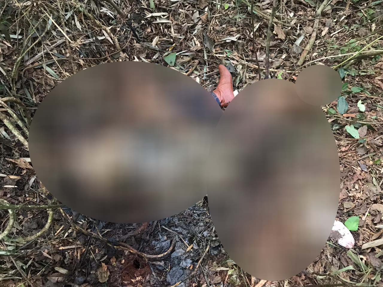 Imagem referente a Vídeo mostra corpo de mulher encontrado na área rural de Cascavel