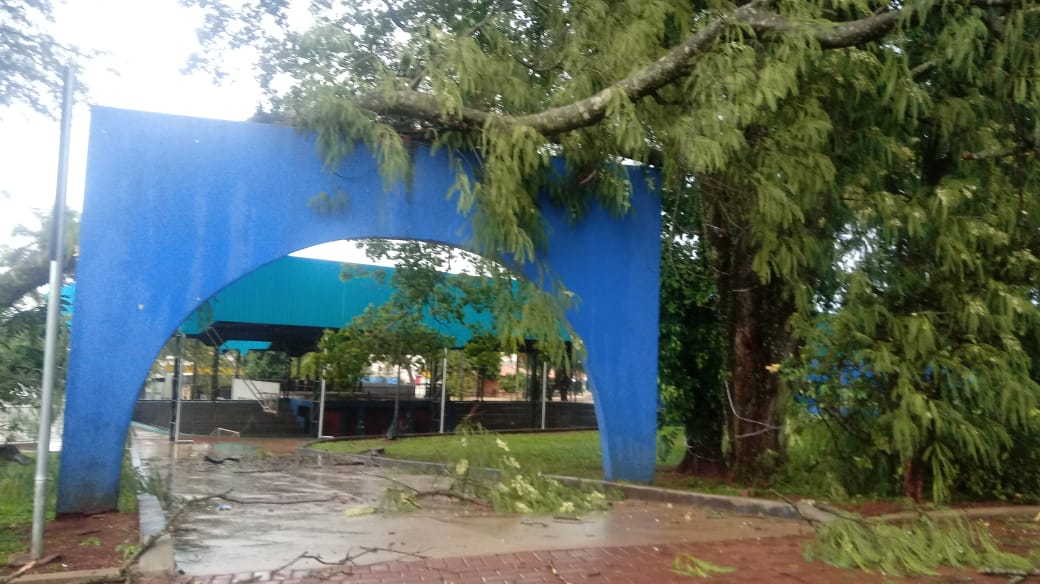 Imagem referente a Chuva arranca árvores e placas em Corbélia