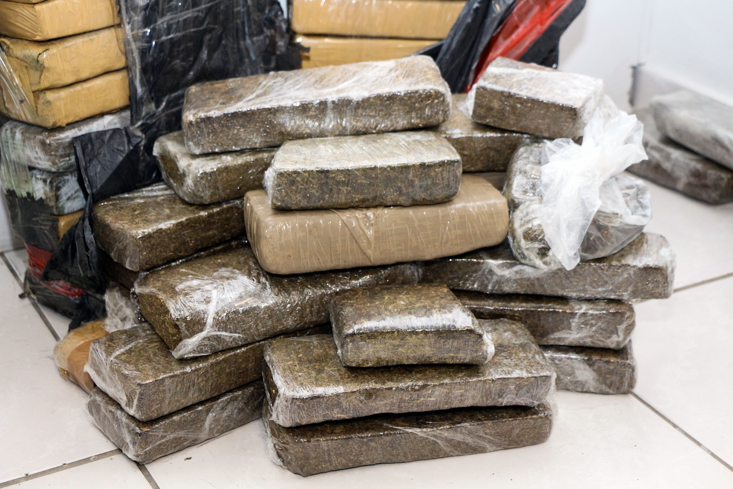 Imagem referente a Polícias apreendem 107 toneladas de drogas de janeiro a setembro