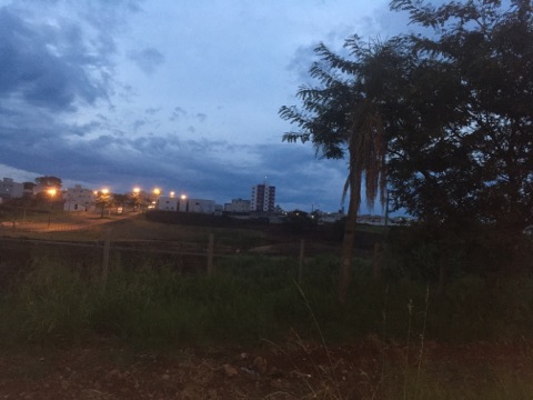 Imagem referente a Moradora pede providências quanto a mato alto na Rua Beira Rio, ao lado do EcoPark Oeste