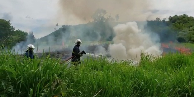 Imagem referente a Fogo atinge área de vegetação em Francisco Beltrão