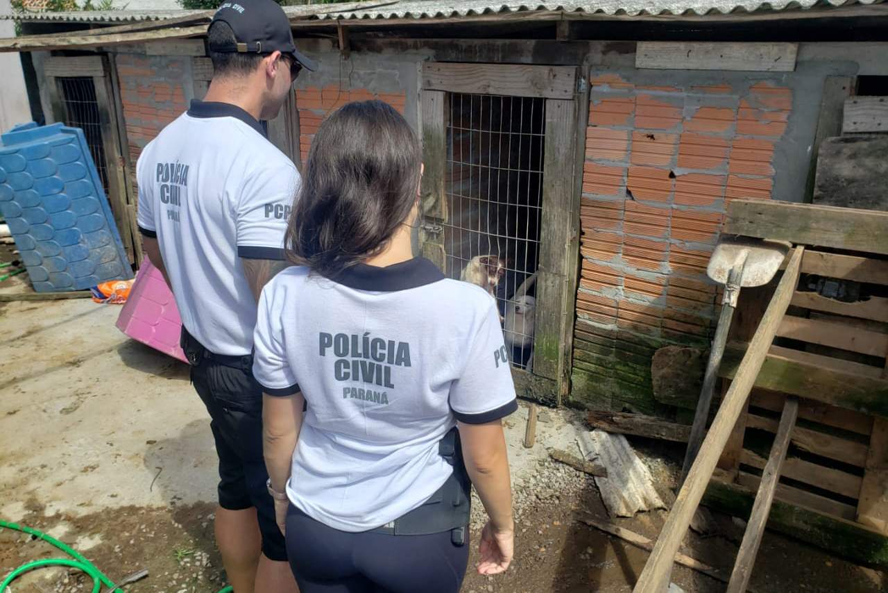 Imagem referente a Polícia fiscaliza maus-tratos a animais em Guaratuba