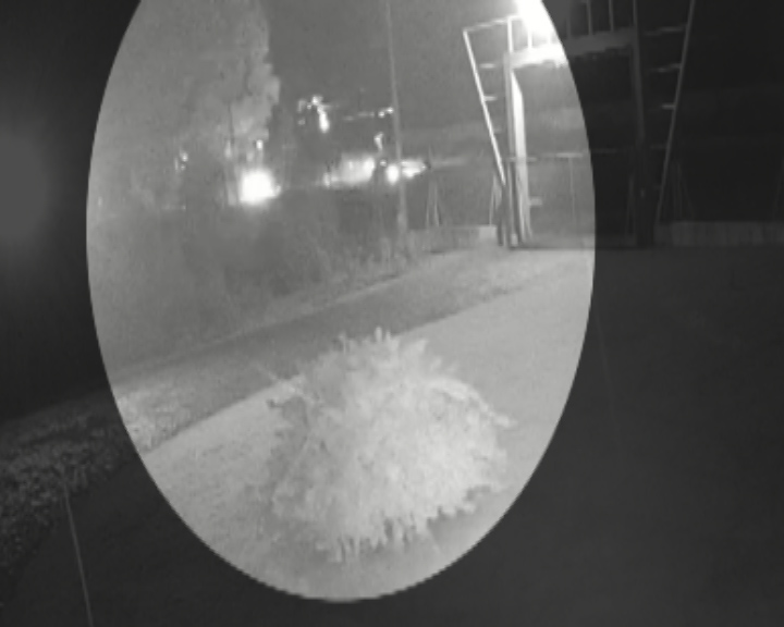 Imagem referente a Veja: câmera flagra grave batida que resultou na morte de homem na BR-369