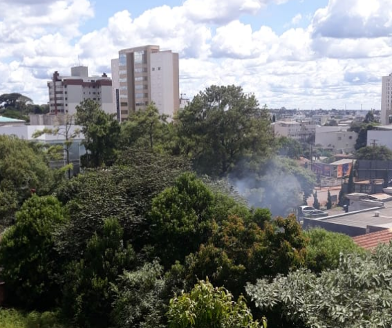 Imagem referente a Morador reclama de queimada na região central