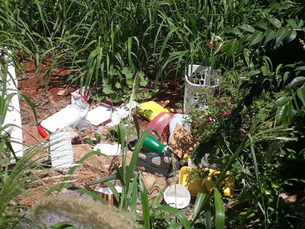 Imagem referente a Mato alto e descarte de entulhos em terrenos geram reclamações no Bairro Alto Alegre