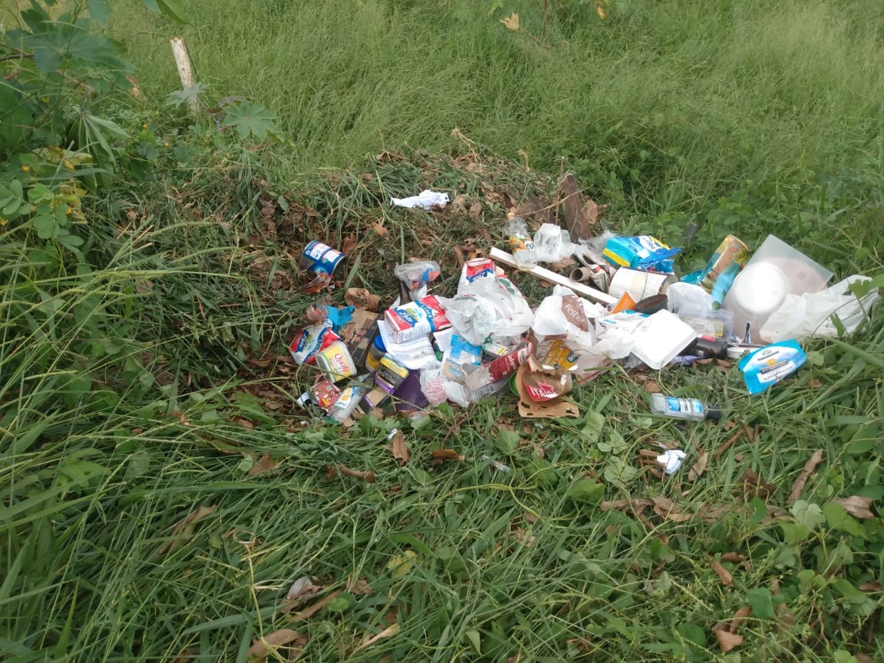 Imagem referente a Descarte de lixo em área de vegetação é alvo de reclamação de vizinhos no Bairro Aclimação