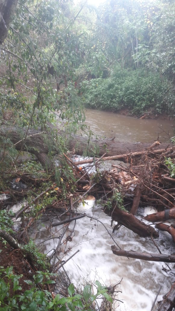 Imagem referente a Grande quantidade de lixo arrastado ao Rio Cascavel pode ser um dos motivos que gerou a falta de água na Cidade