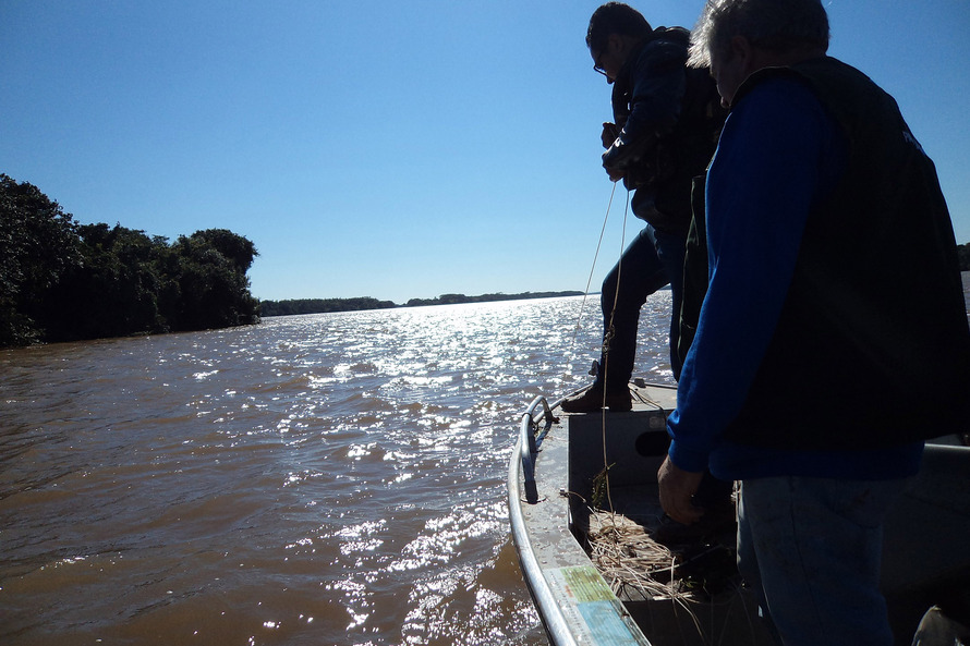 Imagem referente a Paraná altera o período de pesca de espécies nativas