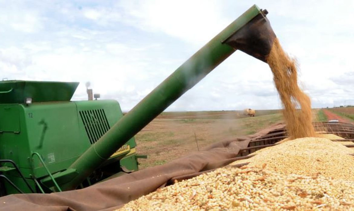Imagem referente a Paraná estima safra de grãos acima de 40 milhões de toneladas