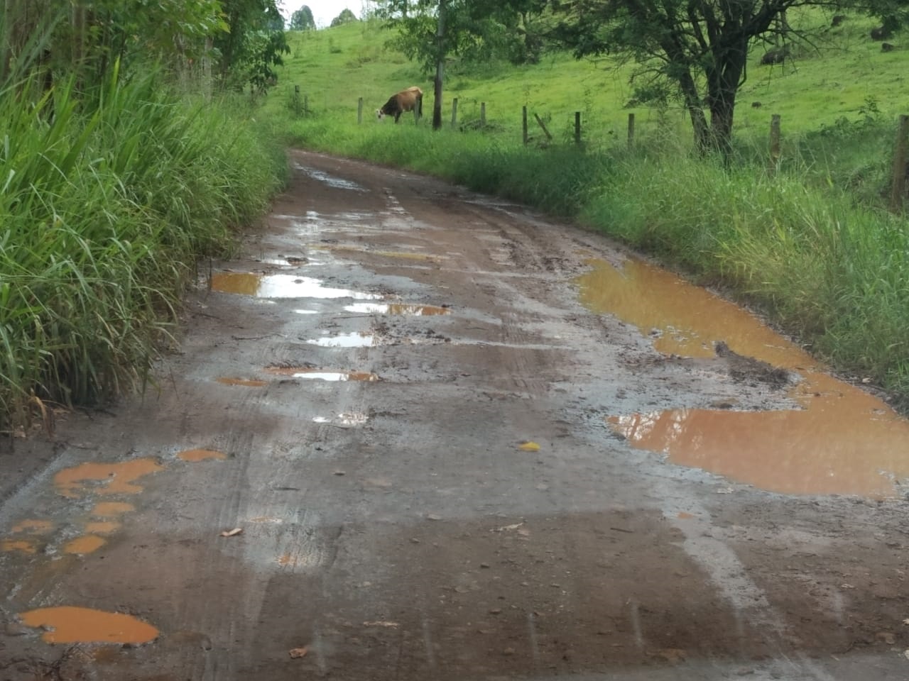 Imagem referente a Distrito de Rio do Salto: Moradores cobram por melhorias em estrada na Linha Forte