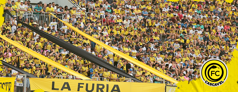 Imagem referente a FC no Brasileirão
