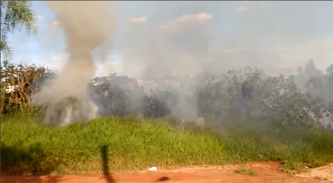 Imagem referente a Moradora registra incêndio ambiental no Conjunto Sanga Funda