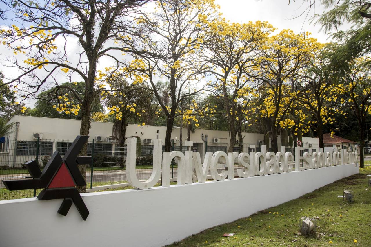 Imagem referente a Universidade Estadual de Maringá conquista 11 patentes em 2020