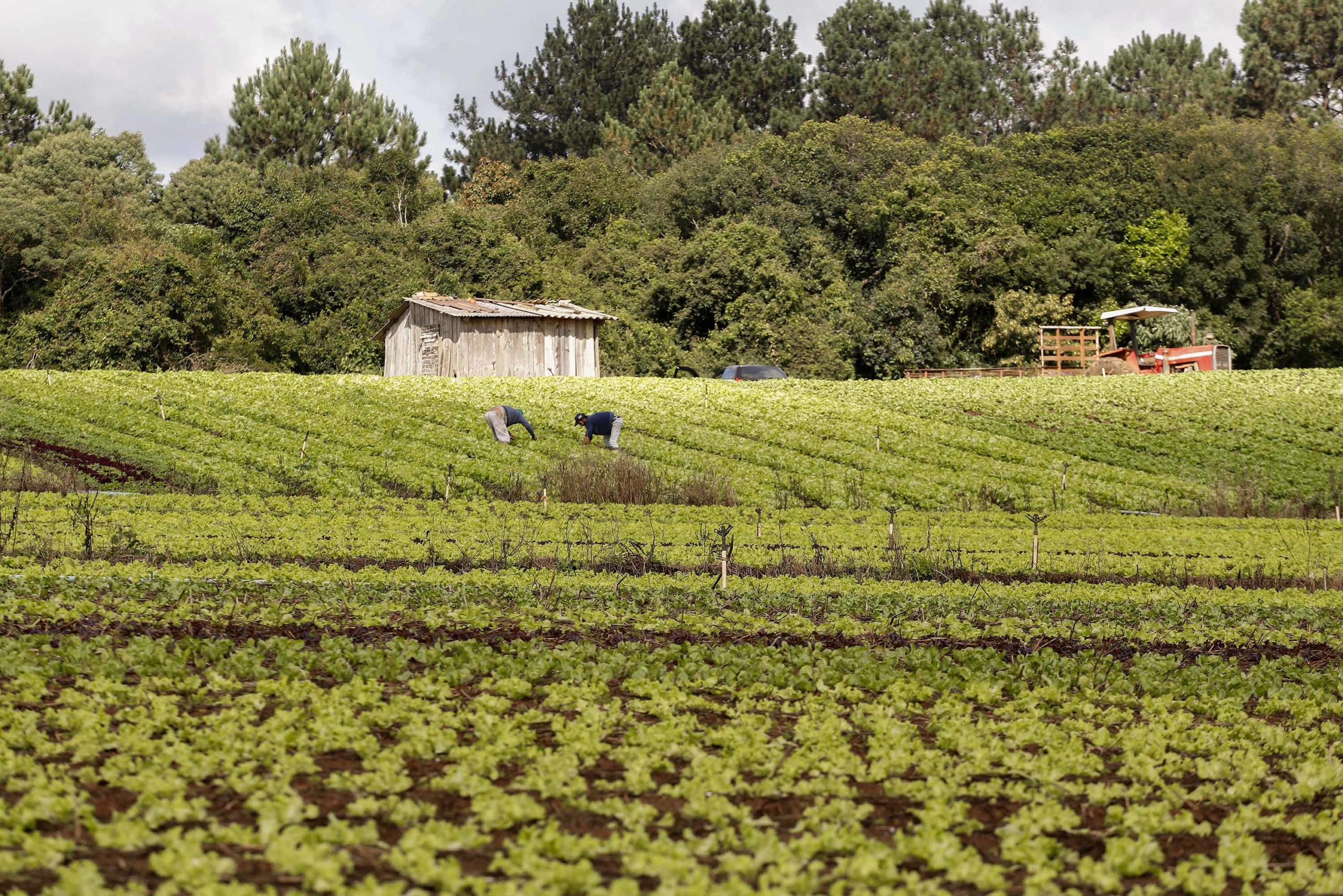 Fazenda Urbana vai testar 12 projetos inovadores de agricultura e otimização de recursos