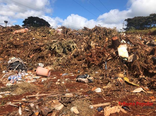 Imagem referente a PM Ambiental flagra crime ambiental em aterro de Santa Terezinha de Itaipu