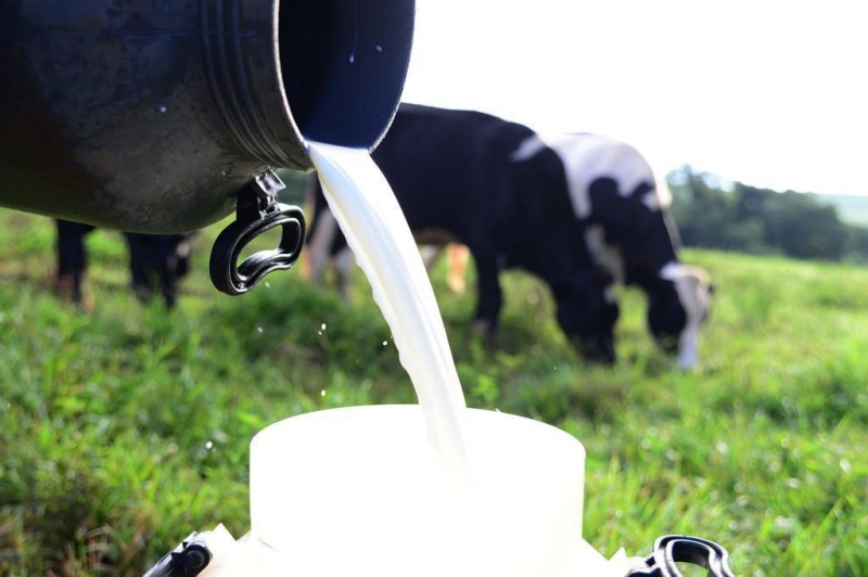 Imagem referente a Produtores de leite de Toledo organizam carreata em busca de melhorias para o setor