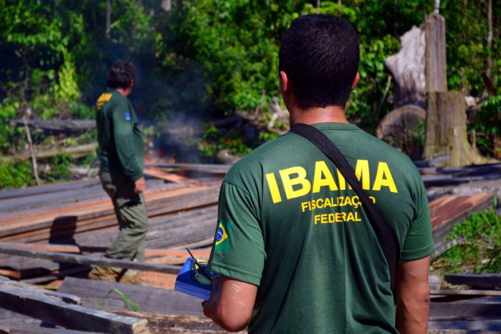 Imagem referente a Ibama pode contratar 1.481 trabalhadores temporários