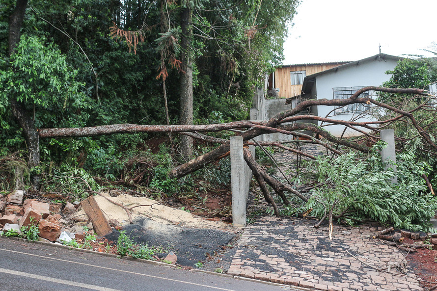 Imagem referente a Com menos força, ciclone pode trazer ventos de até 55 km/h para Curitiba