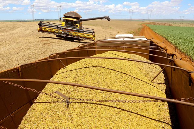 Imagem referente a Soja e milho podem ter importação sem tarifa