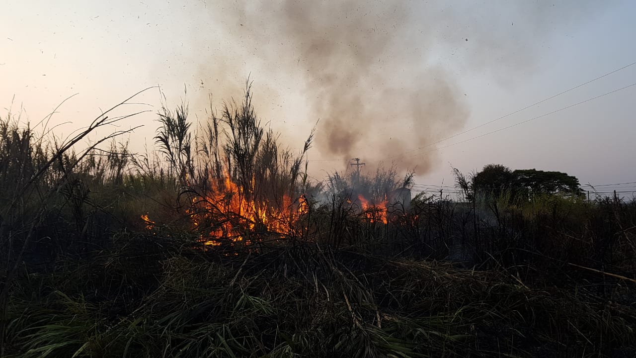 Imagem referente a Bombeiros combatem incêndio ambiental no Bairro Universitário