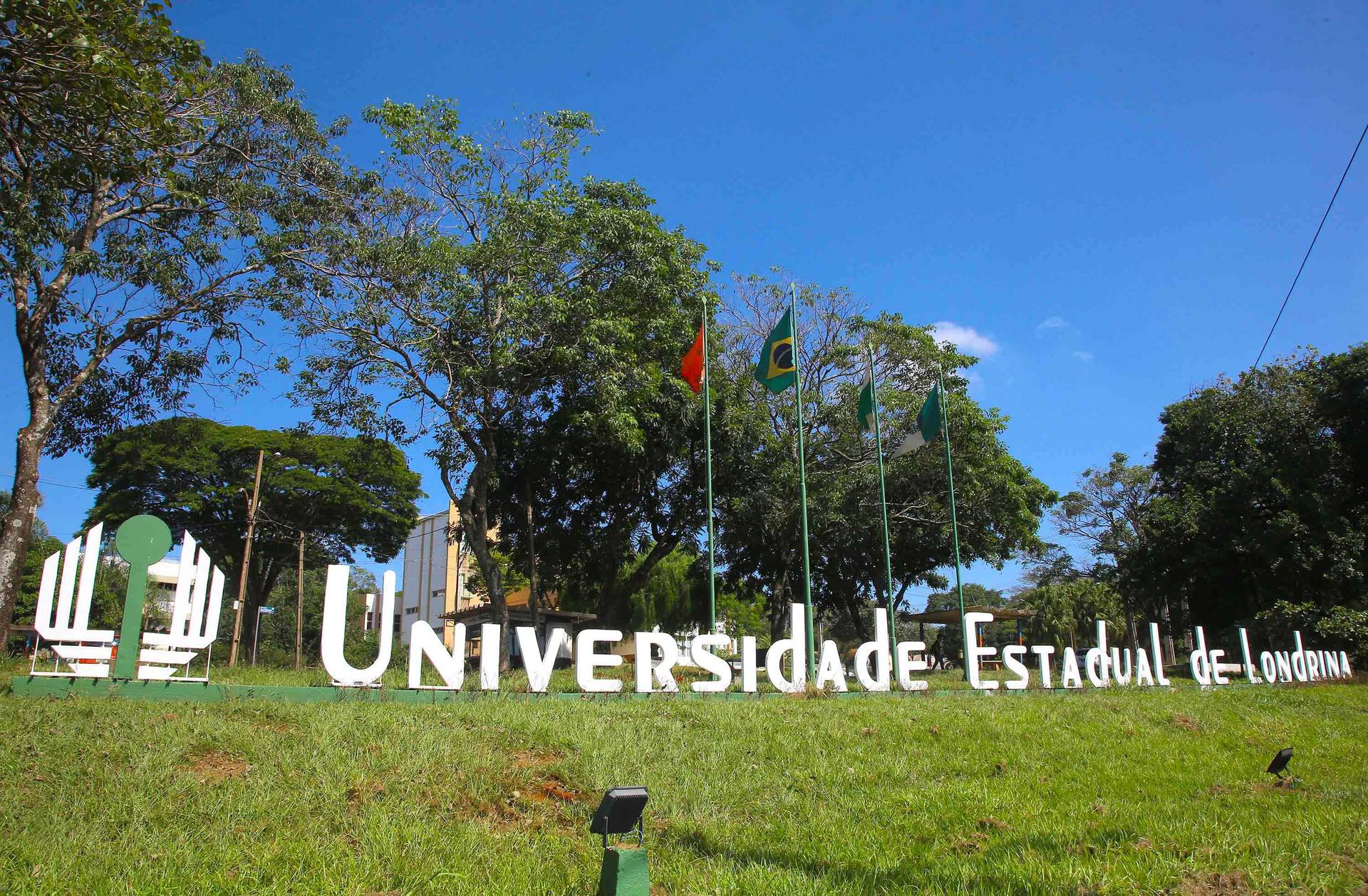 Imagem referente a Governo investe 7,9 milhões na modernização das universidades estaduais