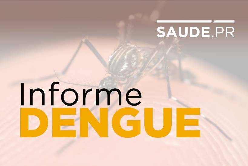 Imagem referente a Boletim da Sesa registra 106 casos de dengue e o primeiro caso de Zíka Vírus do período epidemiológico