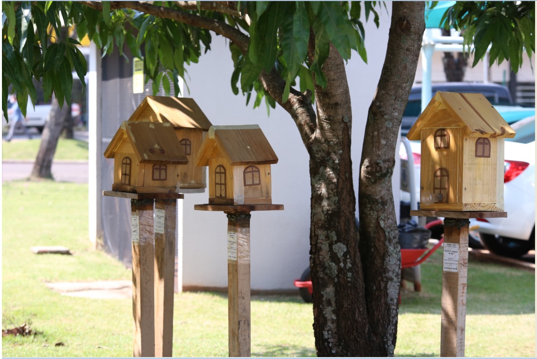 Imagem referente a Projeto Jardins de Mel: incentivo à criação de abelhas sem ferrão é aprovado