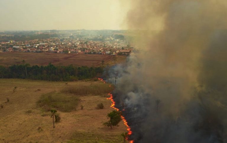 Imagem referente a Anistia critica governo brasileiro por monitorar ONGs em evento climático da ONU