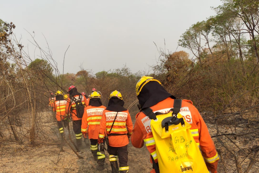 Imagem referente a Bombeiros do Paraná completam dez dias de combate a incêndios no Pantanal
