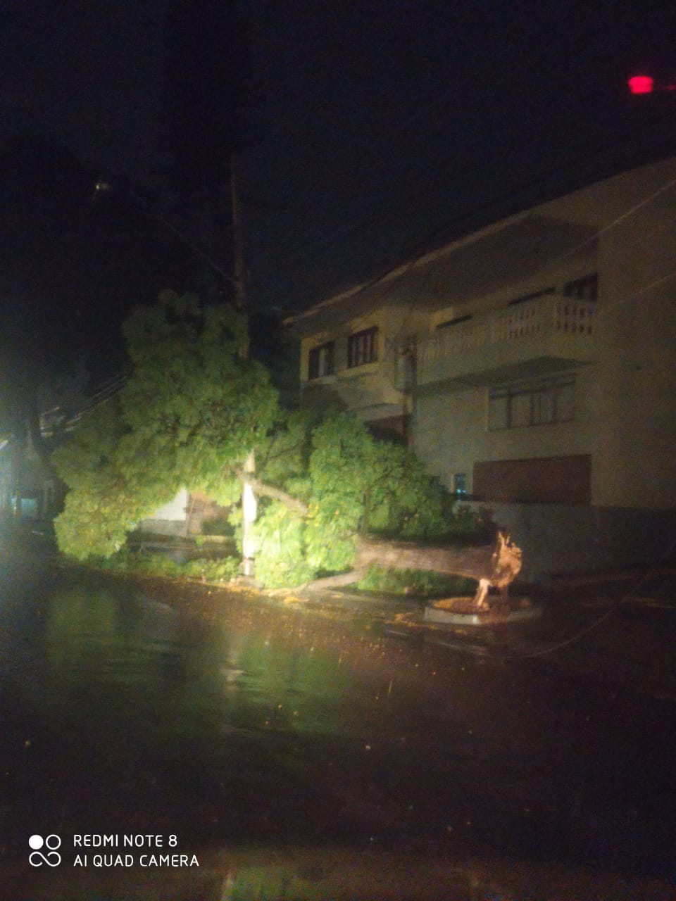 Imagem referente a Vídeo mostra fiação elétrica em curto circuito na Rua da Lapa, após queda de árvore