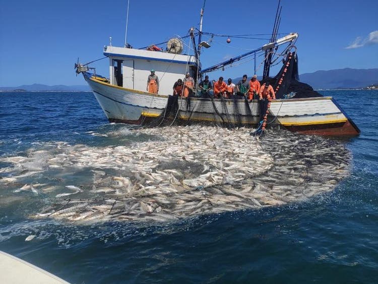 Imagem referente a Brasil assina Declaração de Copenhague de combate à pesca ilegal