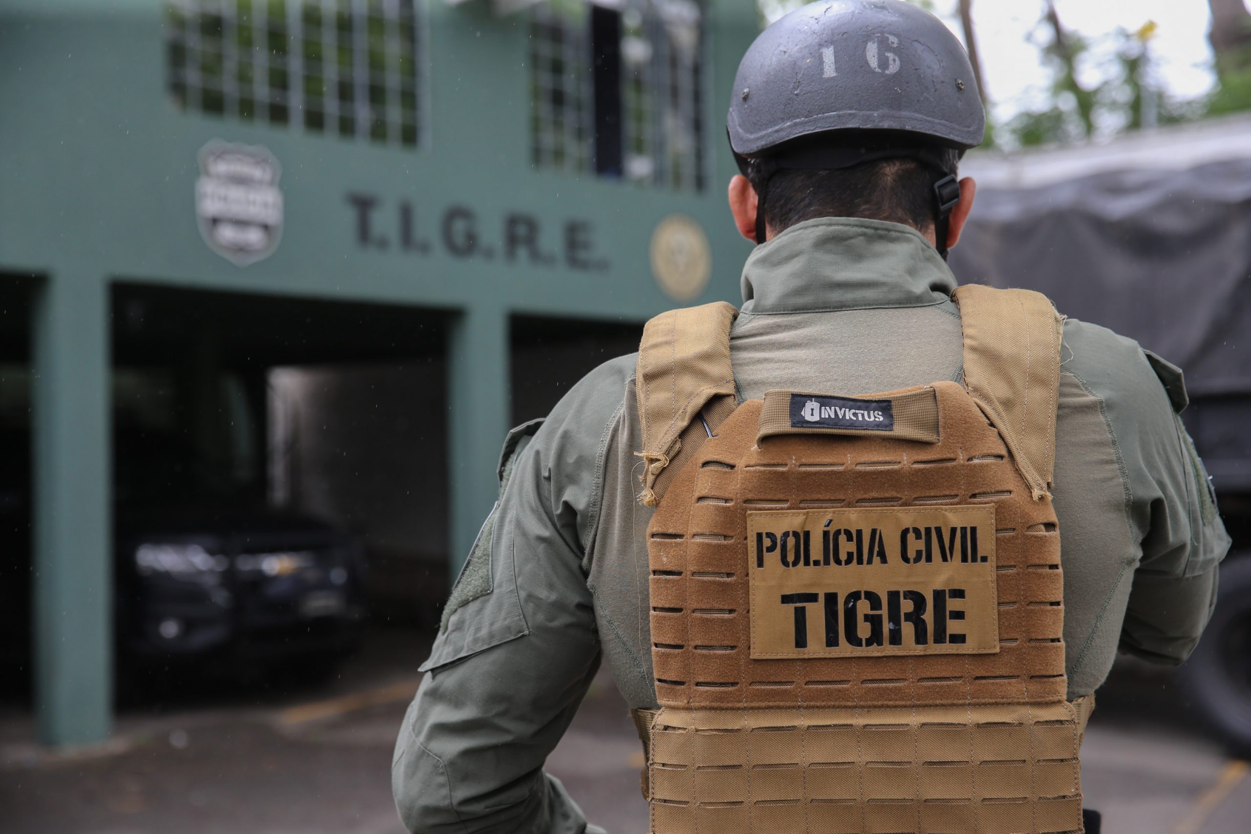 Imagem referente a Grupo Tigre completa 30 anos como referência no Brasil