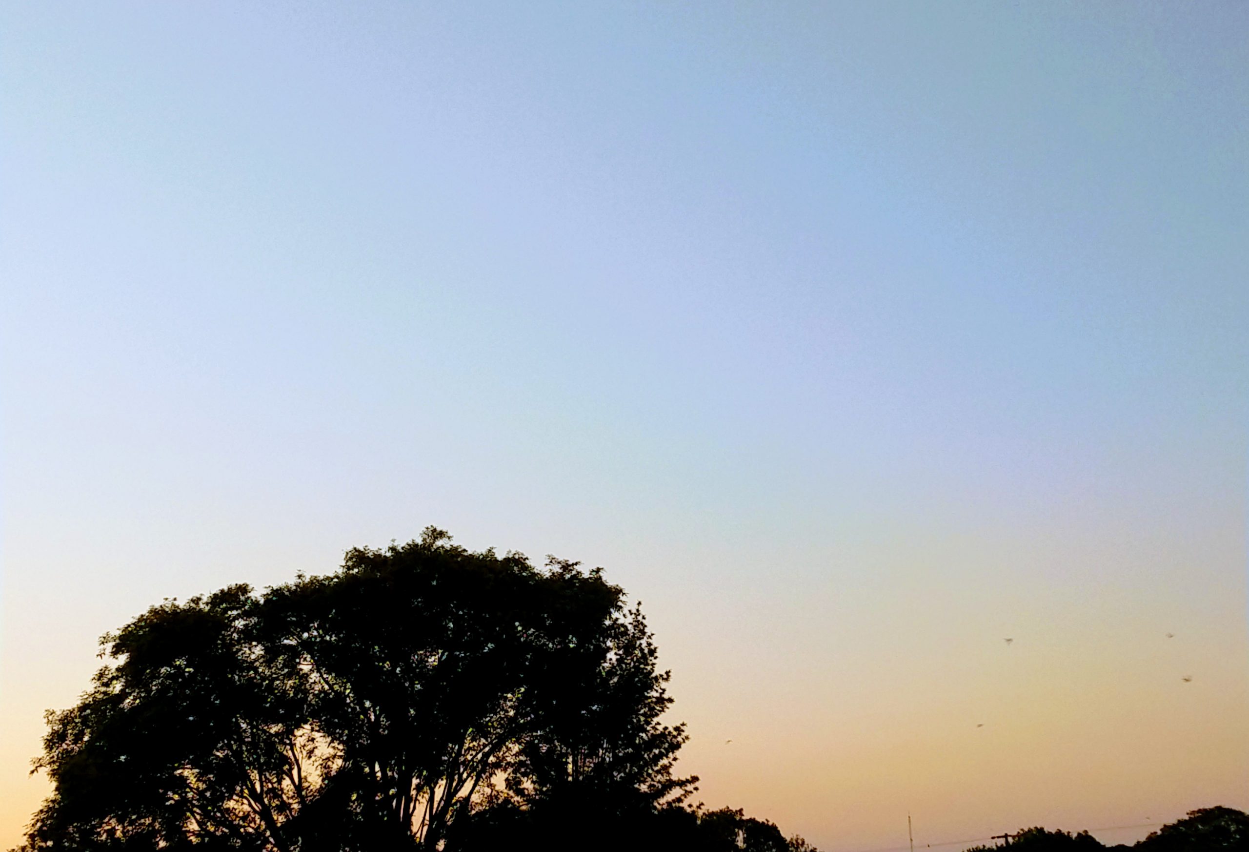Imagem referente a Domingo de sol em Cascavel com termômetros atingindo os 34°C