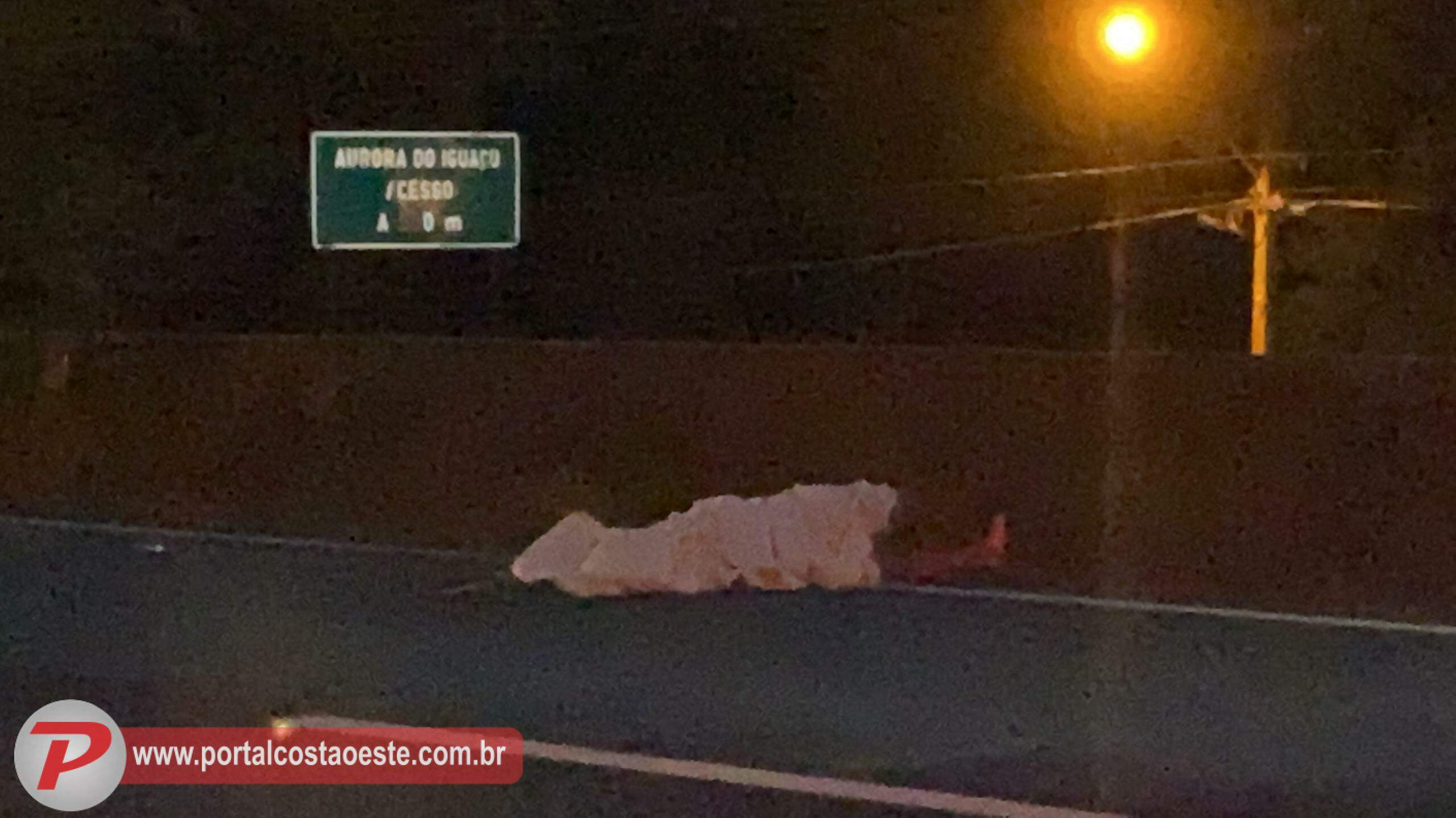 Imagem referente a Identificado ciclista morto em atropelamento na BR-277 em São Miguel do Iguaçu