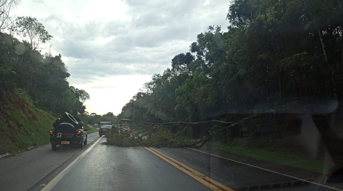 Imagem referente a Temporal deixou mais de 30 mil imóveis sem energia; 8 mil seguem no escuro