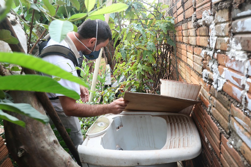 Imagem referente a Cascavel tem 75 casos positivos de Dengue